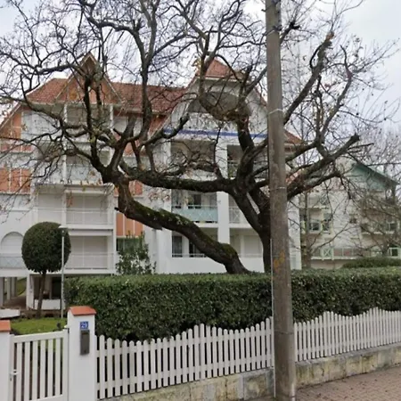 Anthinea Apartment